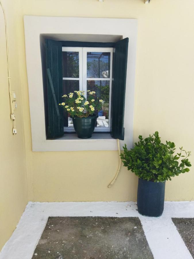 Rodia Apartmán