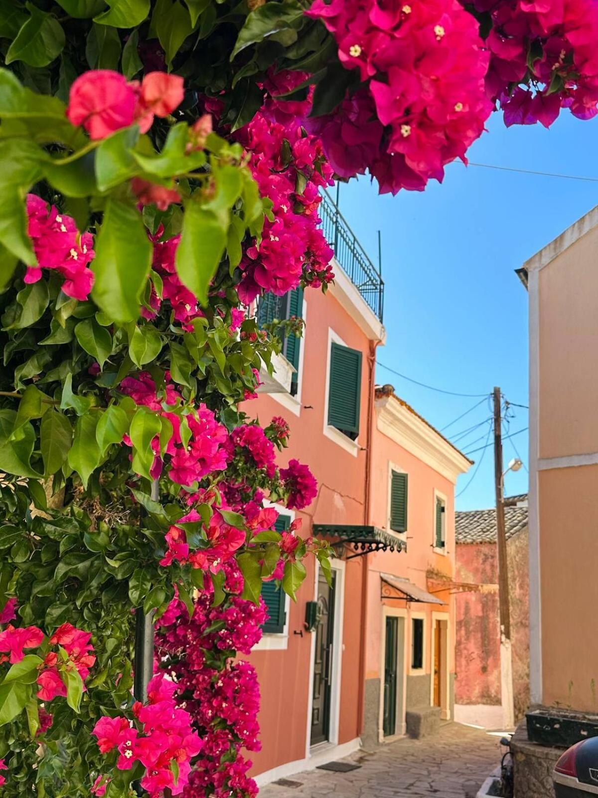 Apartmán Rodia