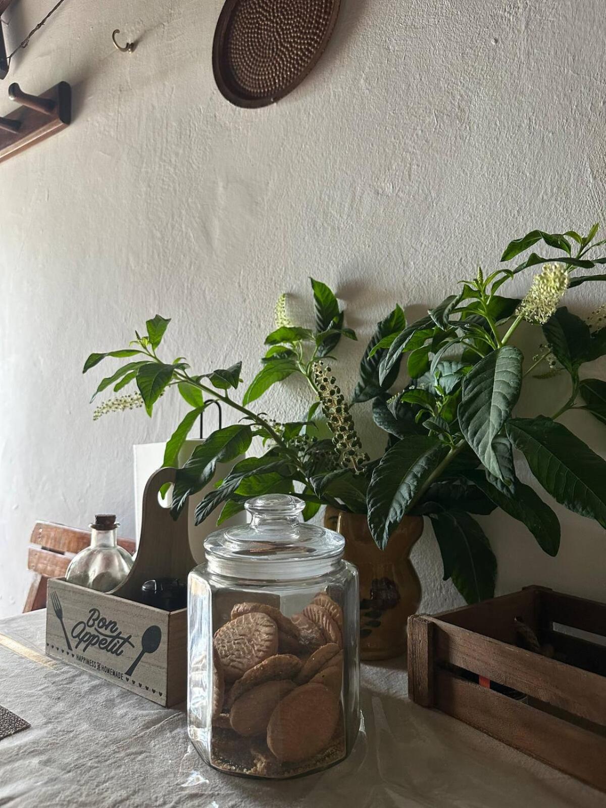 Apartmán Rodia *